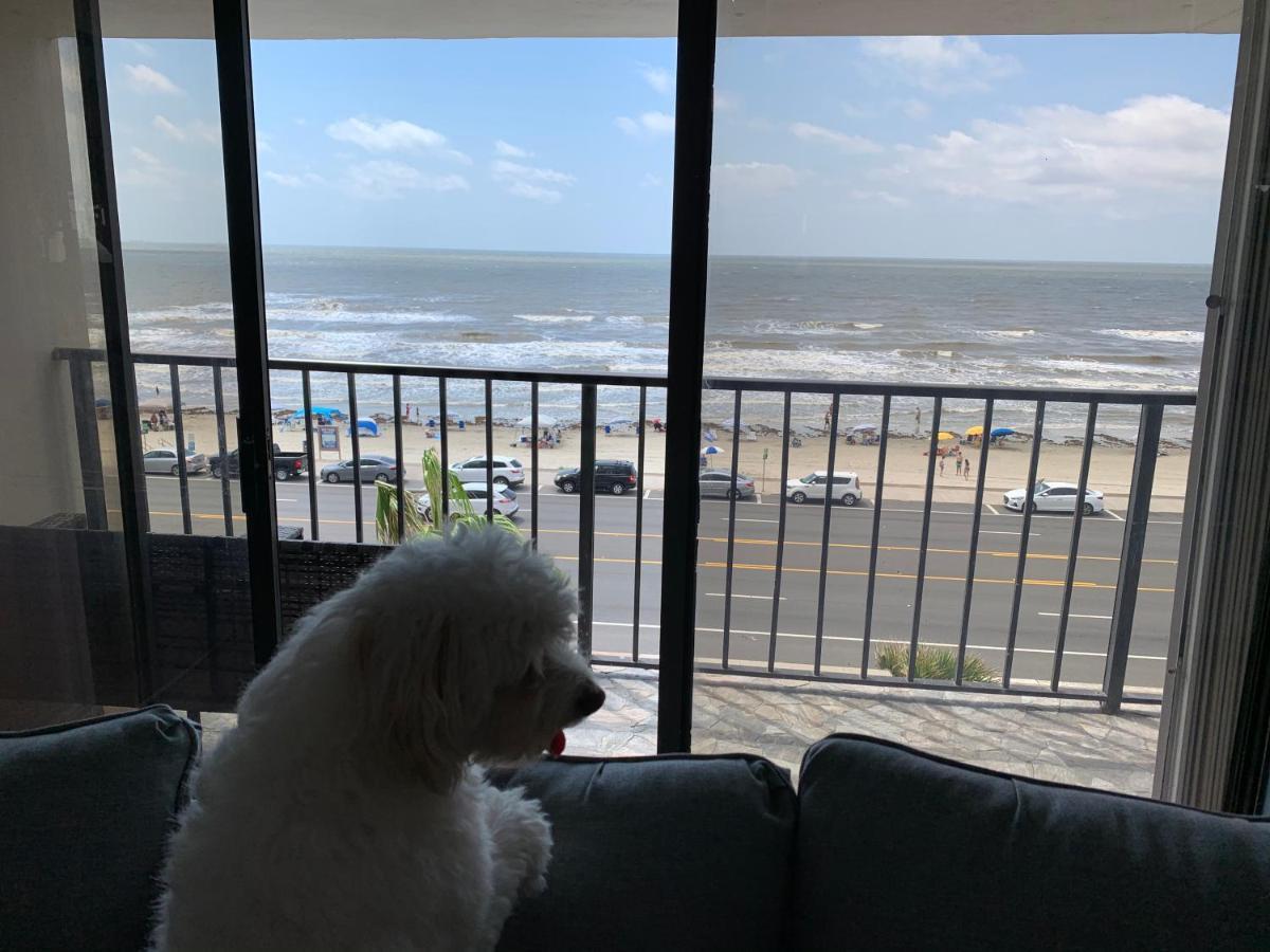 Amazing And Spectacular Ocean And Beach Views In Galveston Bagian luar foto